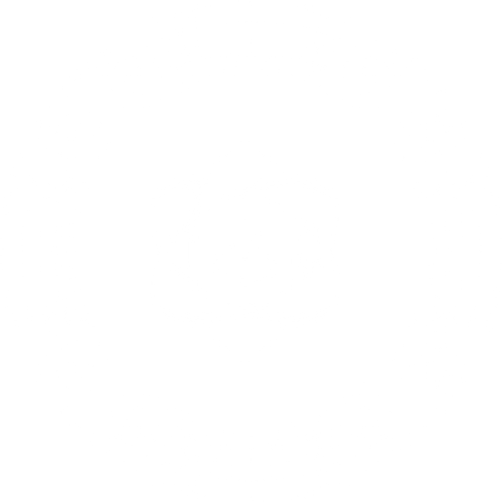 Our Vision